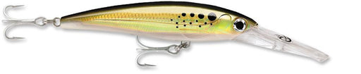 Rapala XRM-20 X-Rap Magnum Big Game Trolling Lure - 5.5 Inch - Bunker
