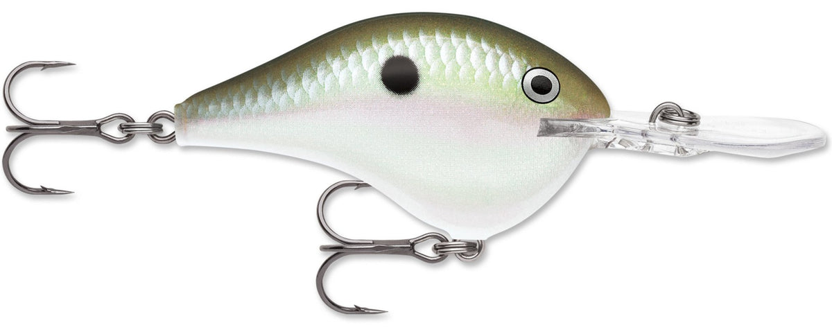 Rapala DT Series Crankbait DT14