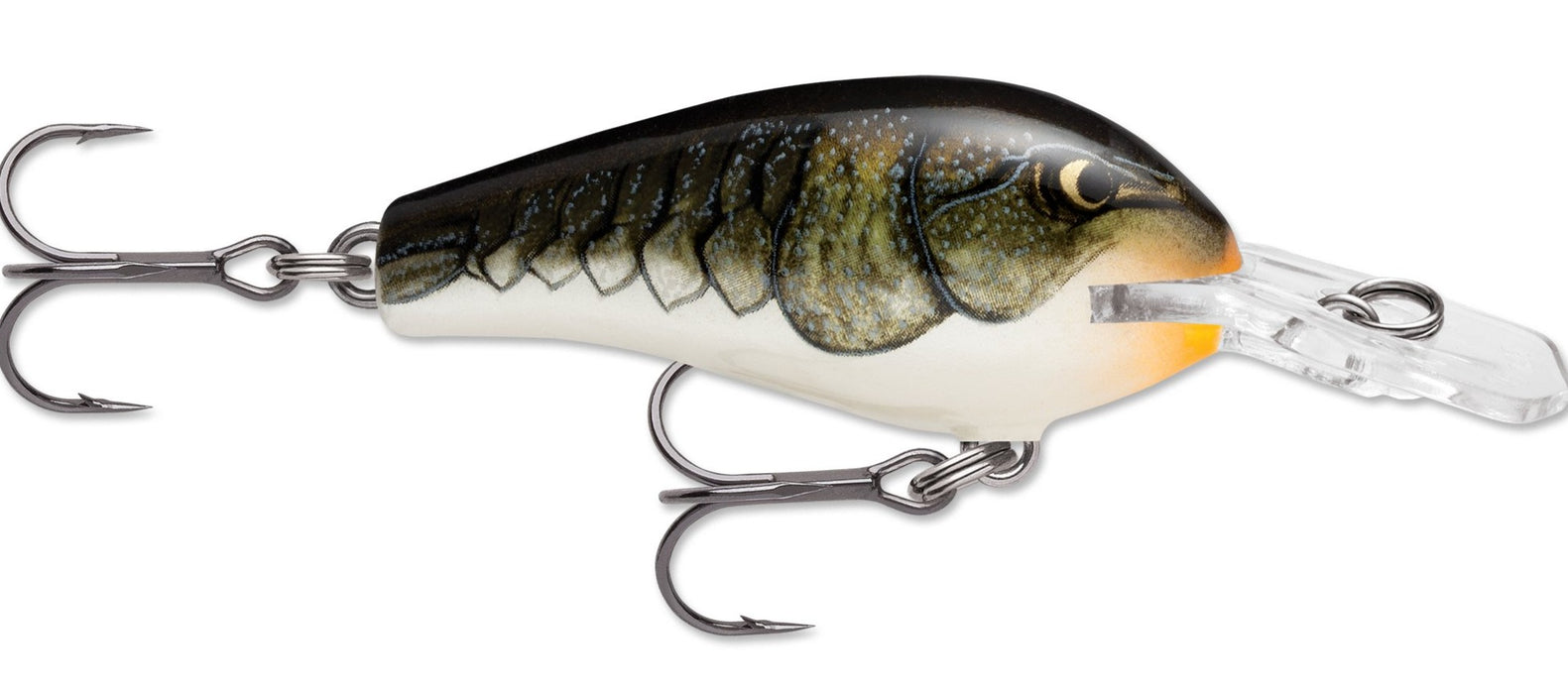fat rat fishing lure Ratzilla Rapala # Rapala Fat Rap Perch