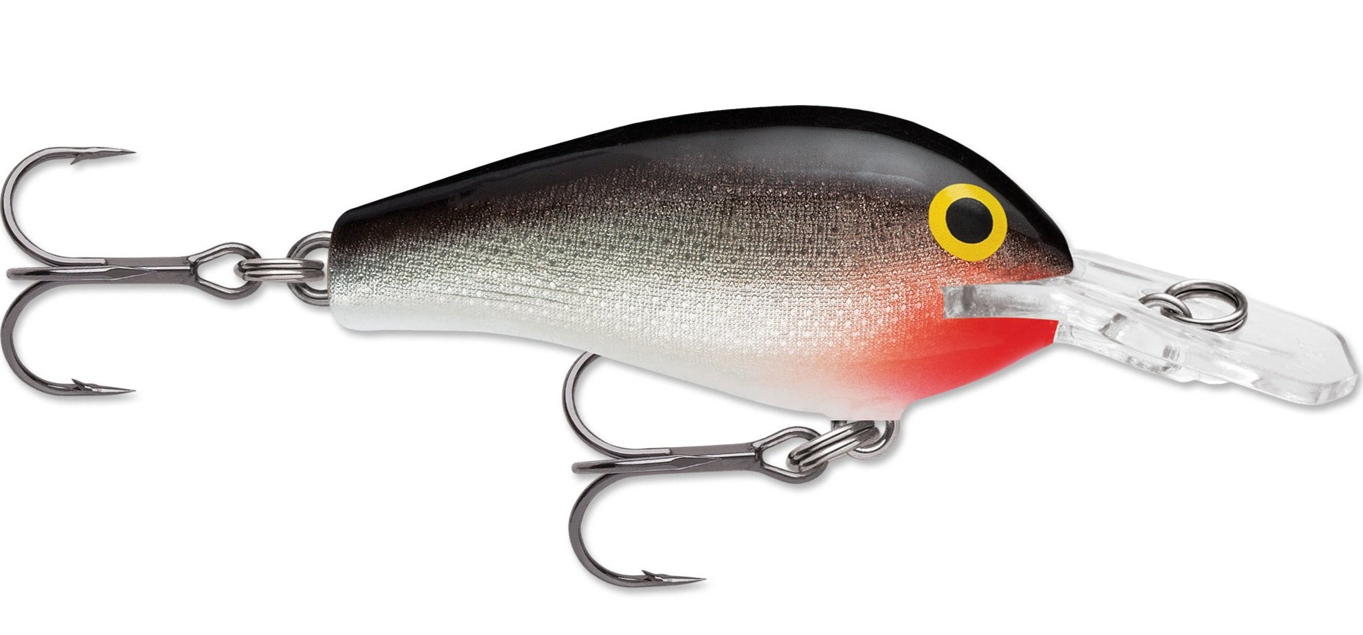 Lure Review- Rapala DT Fat 