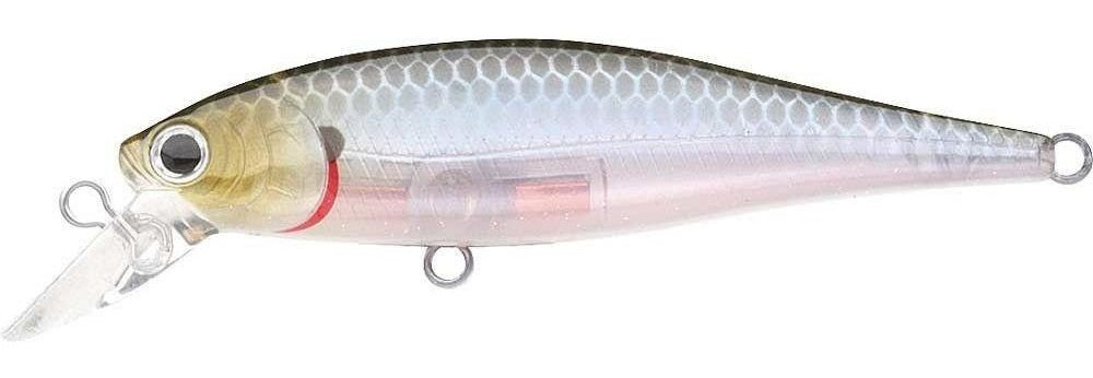  Lucky Craft Lure Be Straight 65 Ayu : Sports & Outdoors