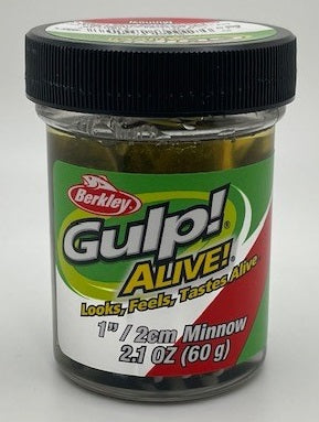 Gulp Bait 1 INCH Chartreuse SHAD Minnow 2 jar Bundle Berkley gulp Alive  Perch Minnows ice Fishing Bait Panfish Minnows