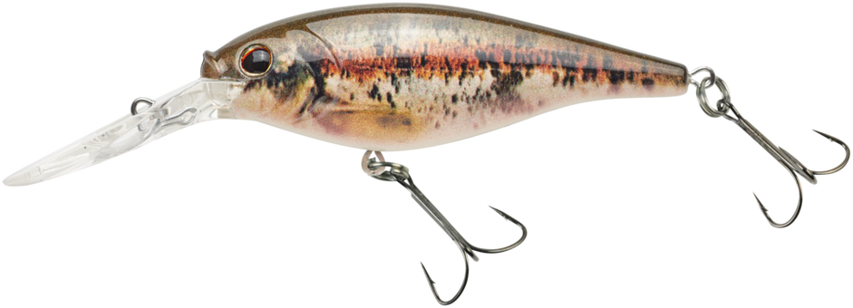 Berkley flicker shad deals