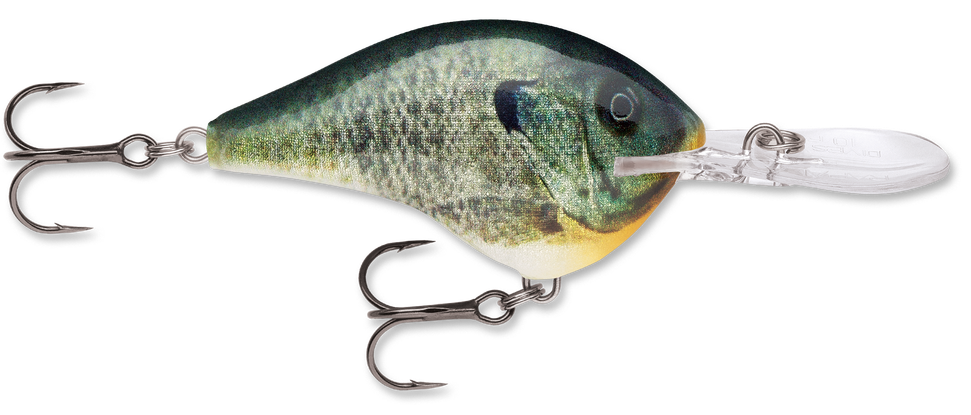 Rapala DT Series Crankbait DT10