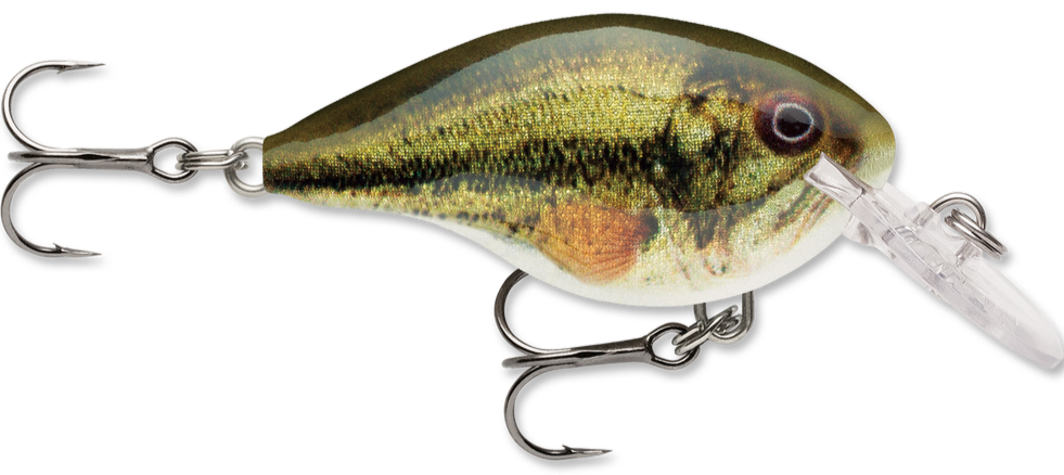 https://discounttackle.com/cdn/shop/products/live_largemouth_bass_2f259570-db69-465c-b5d8-9a0aa813ca36.png?v=1616643661