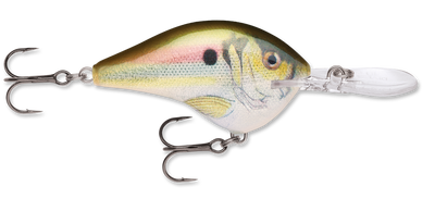 Rapala DT Series Crankbait DT10
