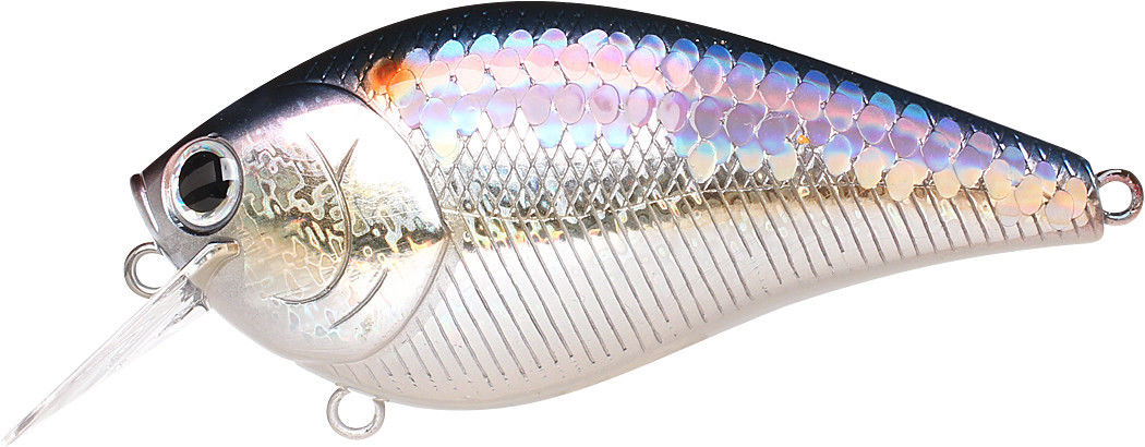 Lucky Craft LC 2.5 MS American Shad