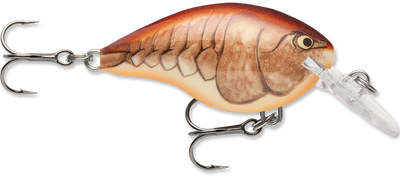 Rapala DT Series Crankbait DT4