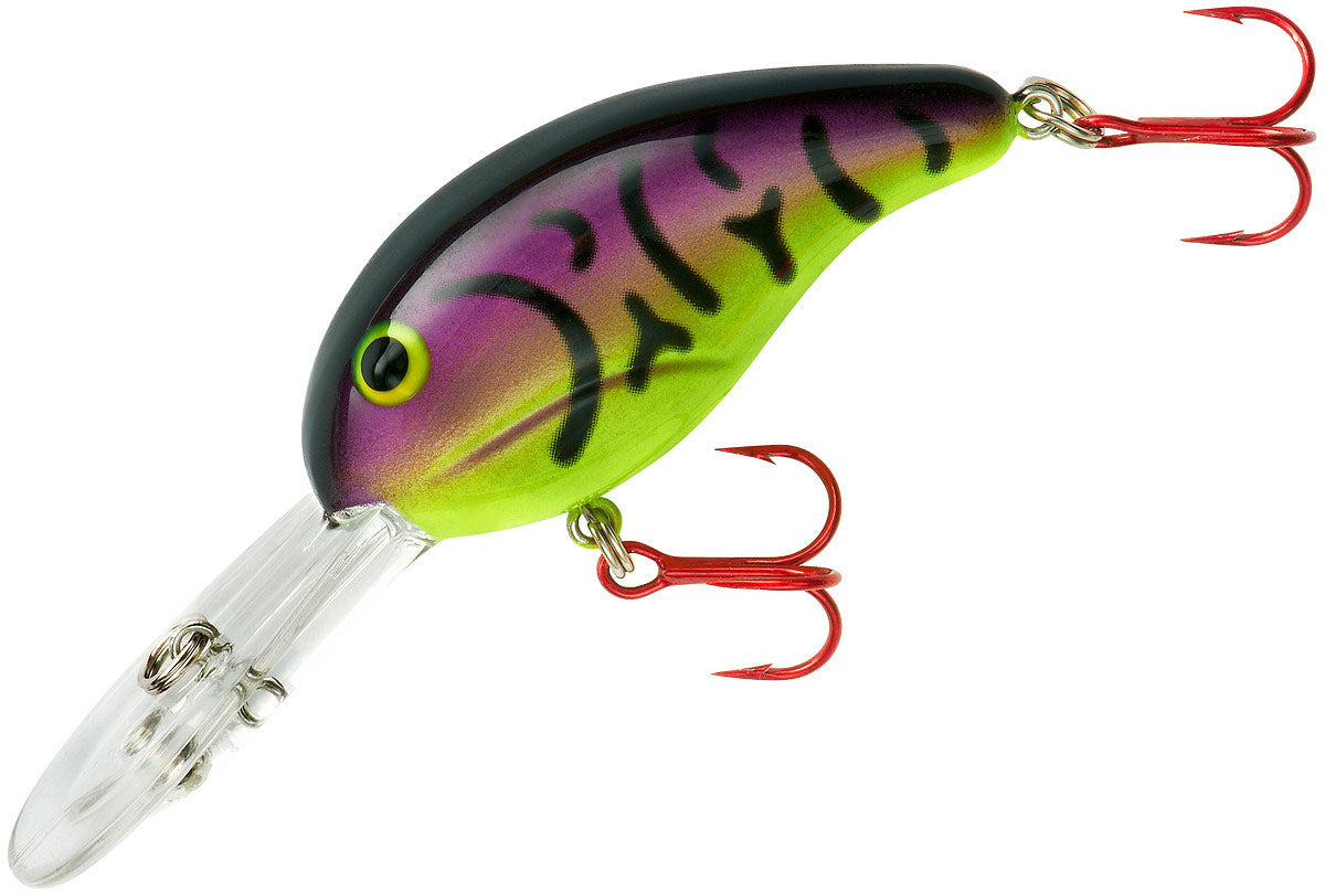 Bandit Lures Series 300 Crankbait Bass Fishing Lures, Fisghing Accessories,  Dives to 12-feet Deep, 2', 1/4 oz, Crappie, (BDT3D38) : : Sports &  Outdoors