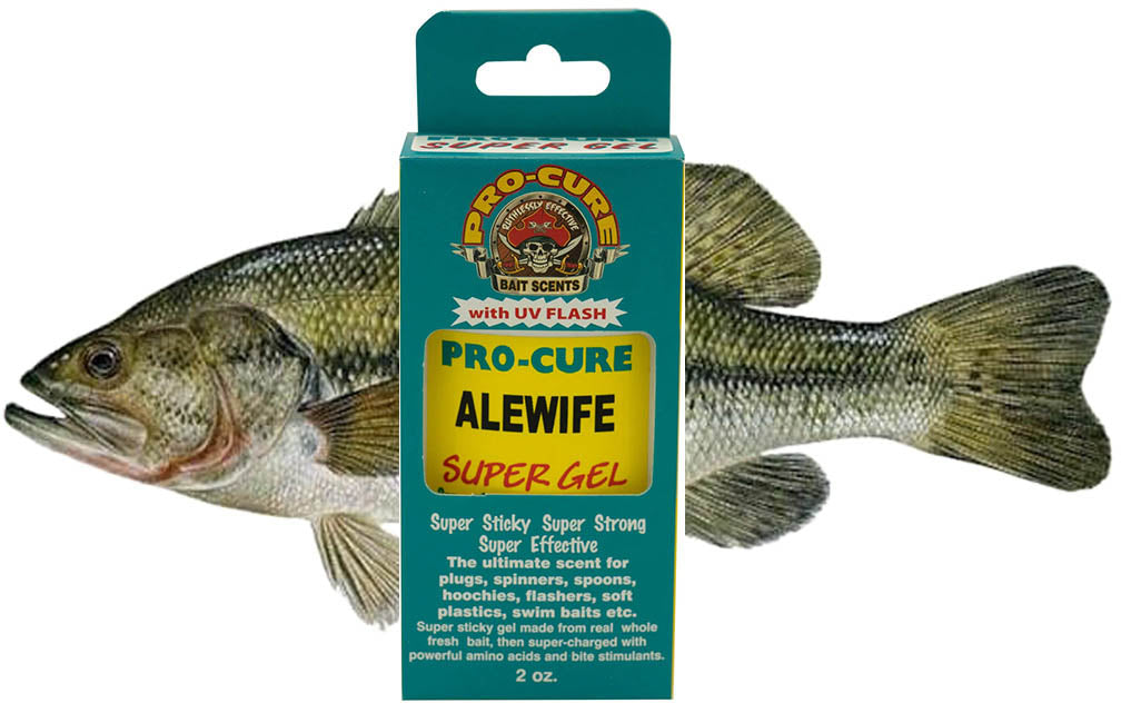bass lure scent Pro-Cure Alewife Super Gel, 2 Ounce