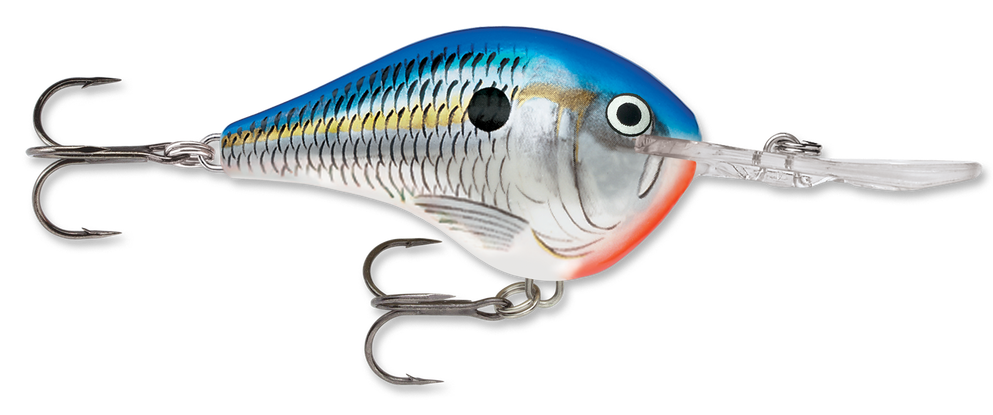 Rapala DT Series Dives-To 10 Big Shad Fishing Lure 海外 即決 - スキル、知識