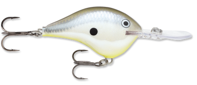 Rapala DT Series Crankbait DT10