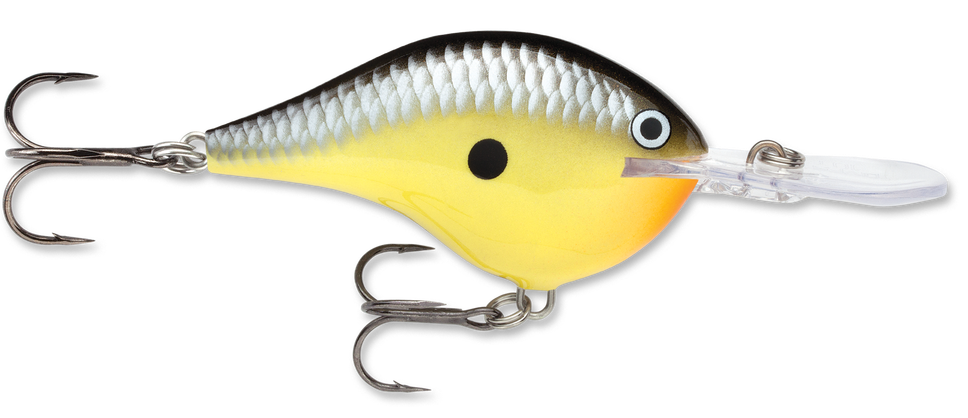 Rapala DT Series Crankbait DT10