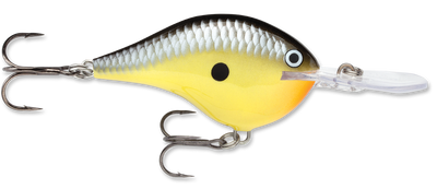 Rapala DT Series Crankbait DT10