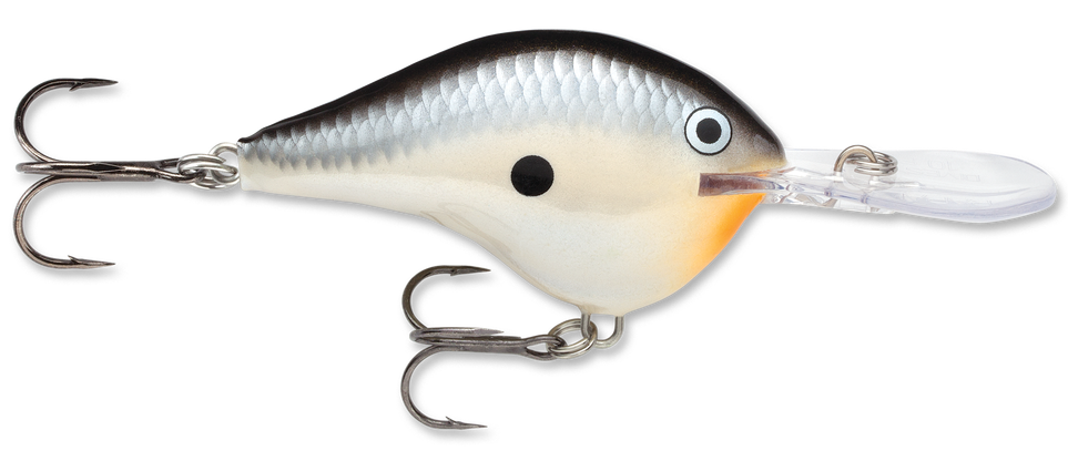 Rapala DT Series Crankbait DT10