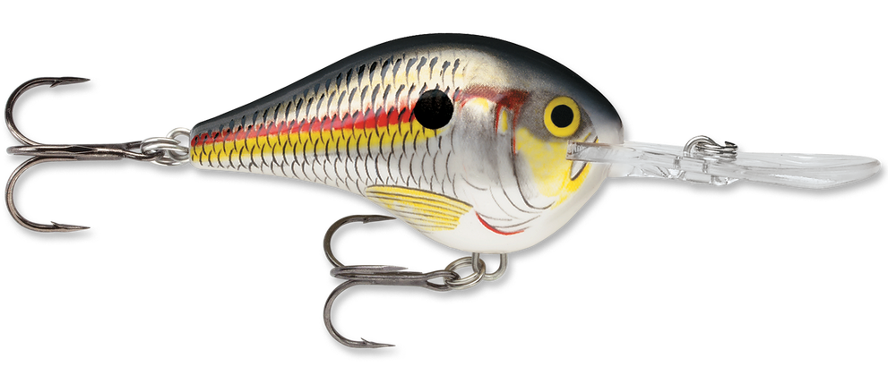  Rapala Dives-to 10 Live Largemouth Bass Lure, Multi, One Size  (DT10LBL) : Sports & Outdoors
