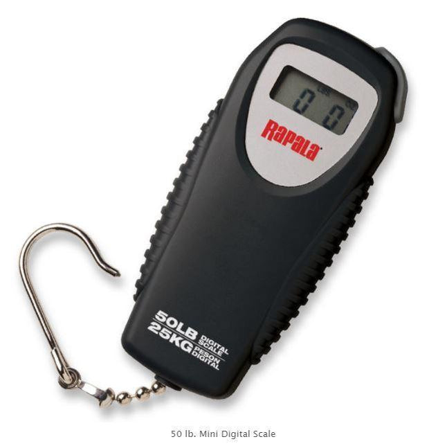 Scales & Tournament Fishing Gear — Discount Tackle