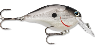 Rapala DT Series Crankbait DT4
