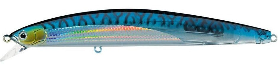 Translucent Blue Mackerel