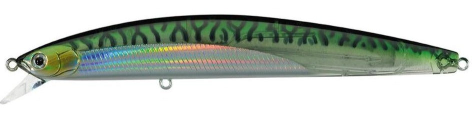 Translucent Green Mackerel